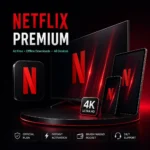 Netflix Premium Subscription in Bangladesh